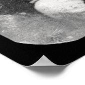 New York Tribune Daguerreotype 1848 Poster (Ecke)