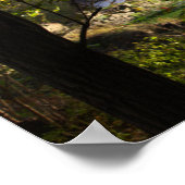 New York Waterfall Foto Poster (Ecke)