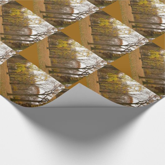 New York Wrapping Paper Central Park - Geschenkpap Geschenkpapier (Ecke)
