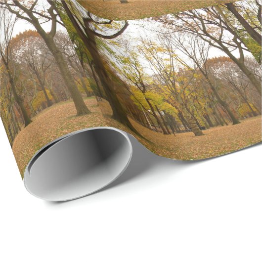 New York Wrapping Paper Central Park - Geschenkpap Geschenkpapier (Rolleneckpunkt)