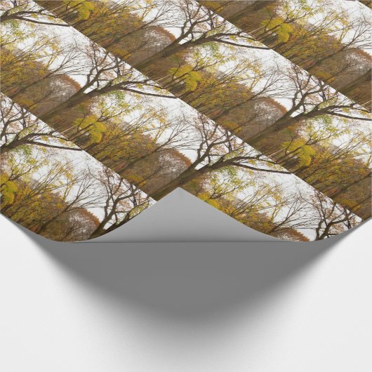 New York Wrapping Paper Central Park - Geschenkpap Geschenkpapier (Ecke)