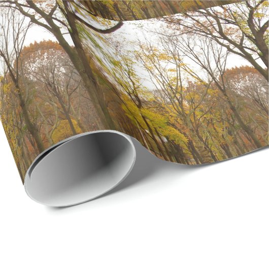 New York Wrapping Paper Central Park - Geschenkpap Geschenkpapier (Rolleneckpunkt)
