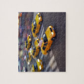 New York Yellow Taxi Puzzle (Vertikal)