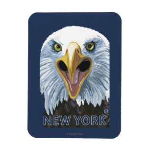 New YorkEagle Up Nah Magnet