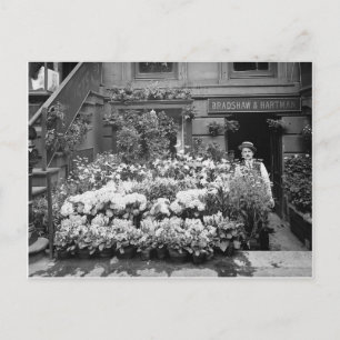 New Yorker Blumenladen, 1895 Postkarte