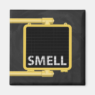 New Yorker Crosswalk - Schildkröte Magnet