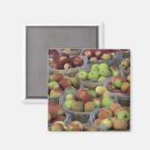 New Yorker Staat Macintosh-Äpfel in Körben Magnet (Vorderseite/Rückseite)