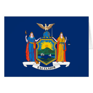 New Yorker Staatsflagge