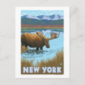 New YorkMoose Drinks am See Postkarte (Vorderseite)