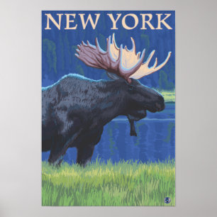 New YorkMoose im Mondlicht Poster