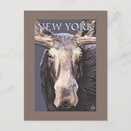 New YorkMoose Up Nah Postkarte (Vorderseite)