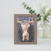 New YorkMoose Up Nah Postkarte (Stehend Vorderseite)
