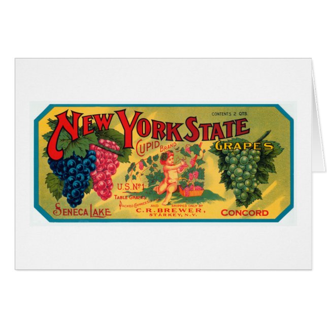 New- YorkStaats-Trauben (Vorderseite (Horizontal))