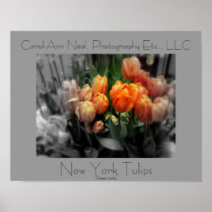 New- Yorktulpe-Plakat Poster