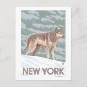 New YorkWolf Scene Postkarte (Vorderseite)