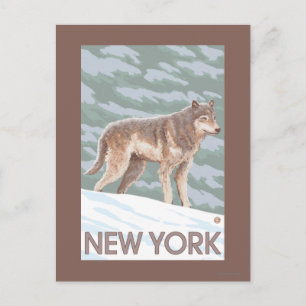 New YorkWolf Scene Postkarte
