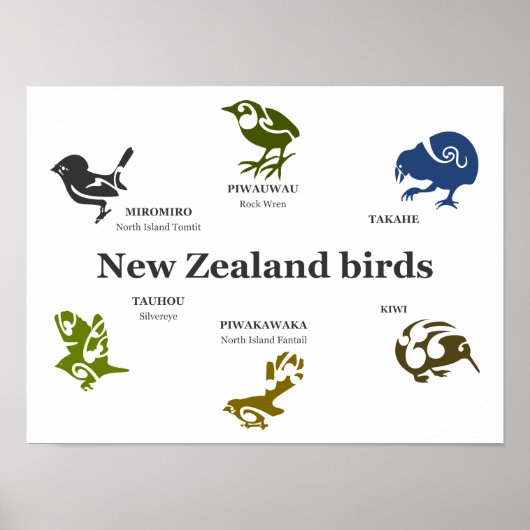 New Zealand Birds poster (Vorne)