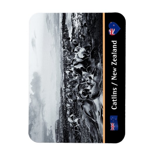 New Zealand, Kelp Coast - Curio Bay /The Catlins Magnet (Vertikal)