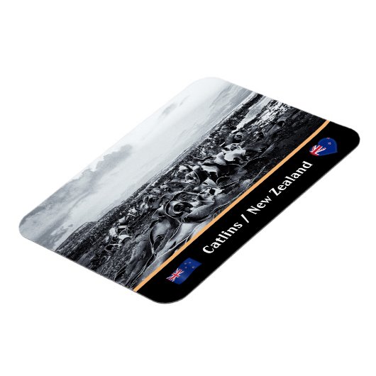 New Zealand, Kelp Coast - Curio Bay /The Catlins Magnet (Linke Seite)