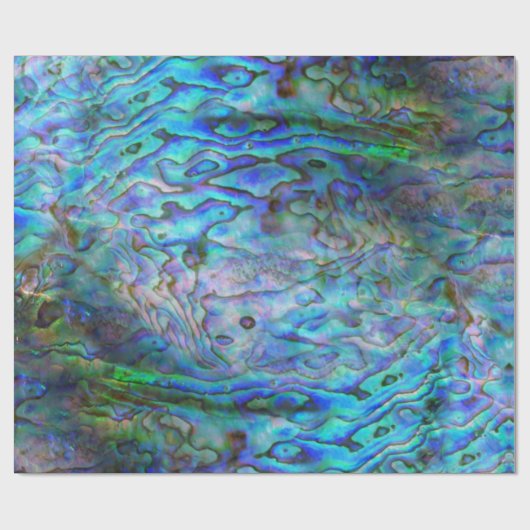 NEW ZEALAND KIWI PAUA GESCHENKPAPIER (Flach)