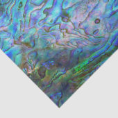 NEW ZEALAND KIWI PAUA SEIDENPAPIER (Ausschnitt)