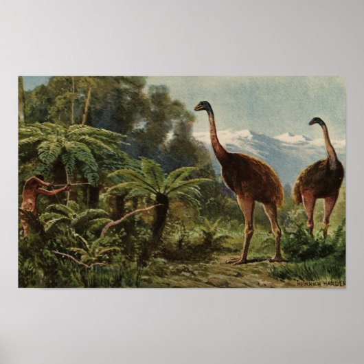 new zealand poster (Vorne)