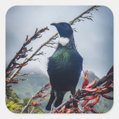New Zealand Tui Bird Sticker (Vorderseite)
