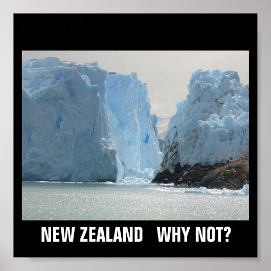 NEW ZEALAND WHY NOT? POSTER (Vorne)