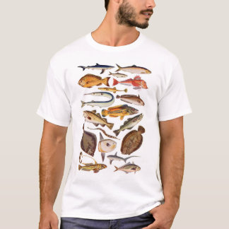 newartsweb - so viele mehr Fische, so wenig Zeit T-Shirt