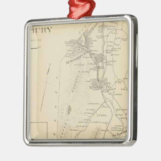 Newbury Silbernes Ornament (Links)