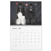 Newf Fashion Kalender (Feb 2027)