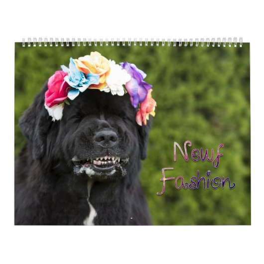 Newf Fashion Kalender (Titelbild)