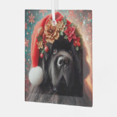 Newf in Extravaganter Weihnachtsmannmütze Ornament Aus Glas (Vorderseite links)