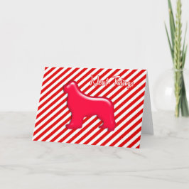 Newf-Tidings Red Kandi Kane Karte