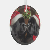 Newfides under Mistletoe Kiss Ornament Aus Glas (Vorderseite Rechts)
