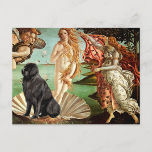 Newfie 1 - Geburt der Venus Postkarte
