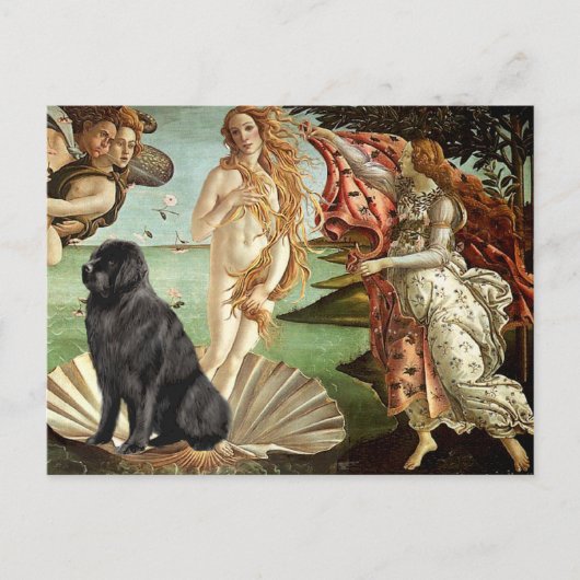 Newfie 1 - Geburt der Venus Postkarte (Vorderseite)