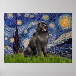 Newfie 2 - Starry Night Poster
