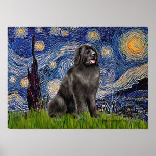 Newfie 2 - Sternennacht Poster