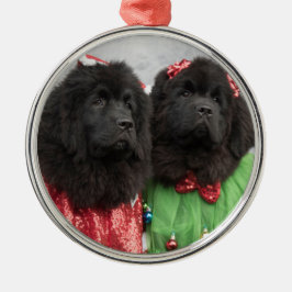 newfie Babys unter dem Baum Silbernes Ornament