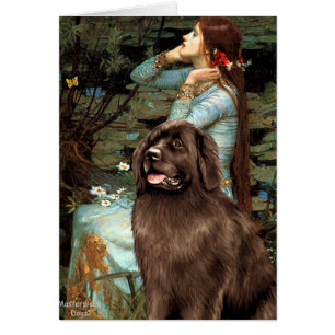 Newfie (braun) - Ophelie Sitzplatz