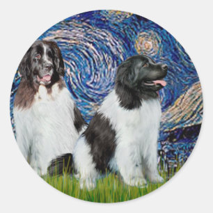 Newfie Landseer Pair - Starry Night Runder Aufkleber