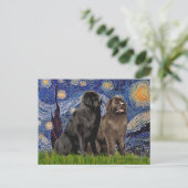 Newfie Pair - Starry Night Postkarte (Stehend Vorderseite)