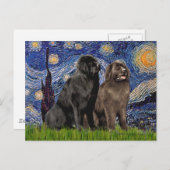 Newfie Pair - Starry Night Postkarte (Vorne/Hinten)
