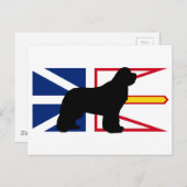 Newfie Silo auf Flag_of_Newfundland_and_Labrador.p Postkarte (Vorne/Hinten)