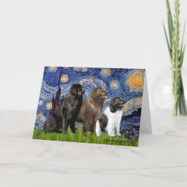 Newfie Trio - Starry Night Karte