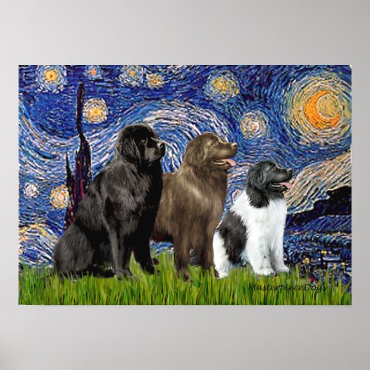 Newfie Trio - Starry Night Poster (Vorne)