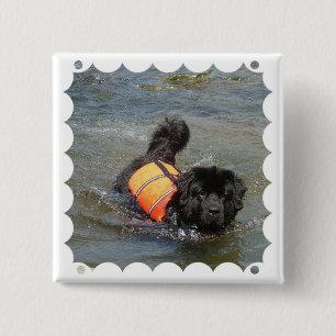 Newfie Wasser-Rettungs-Button Button