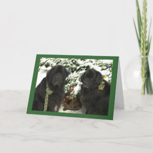 Newfie Weihnachten