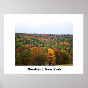 NEWFIELD NEW YORK-Plakat Poster